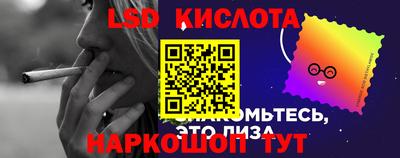 spice Сланцы