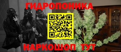 spice Сланцы