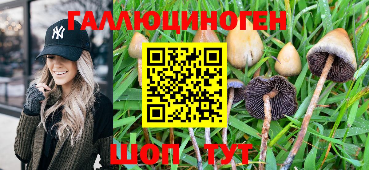 Галлюциногенные грибы MAGIC MUSHROOMS Можга